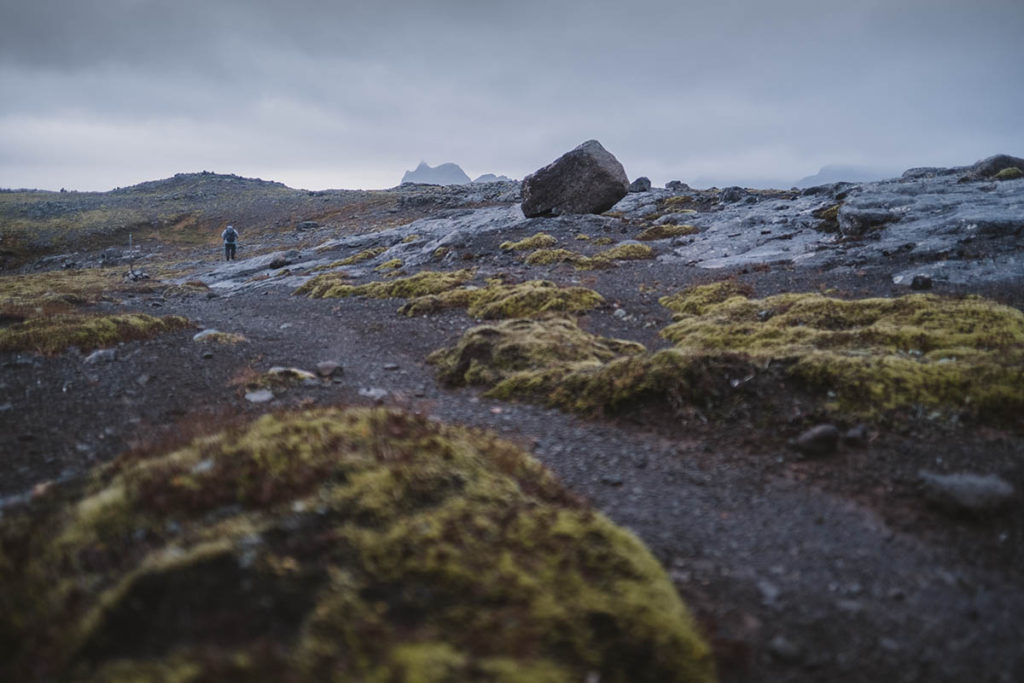 Island exklusiv. Wanderung Djupavik