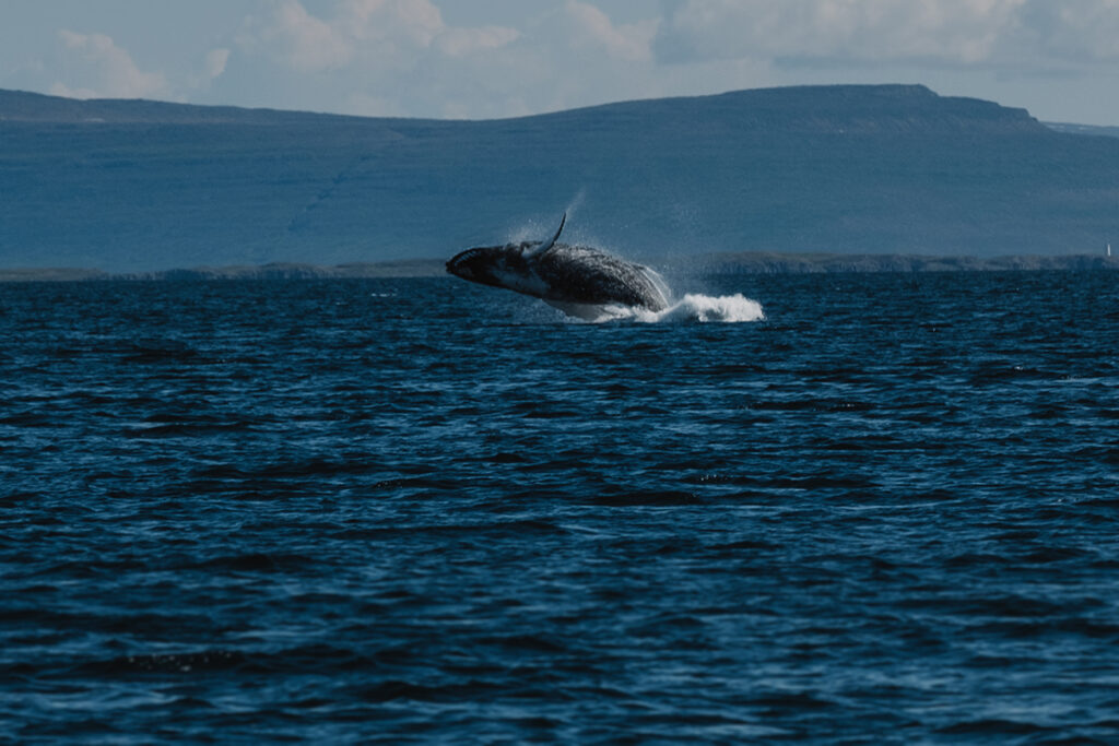 Nord-Adventure - Abentuerreisen Island