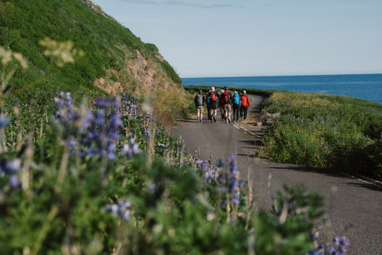 Abentuerreisen Island - Nord-Adventure