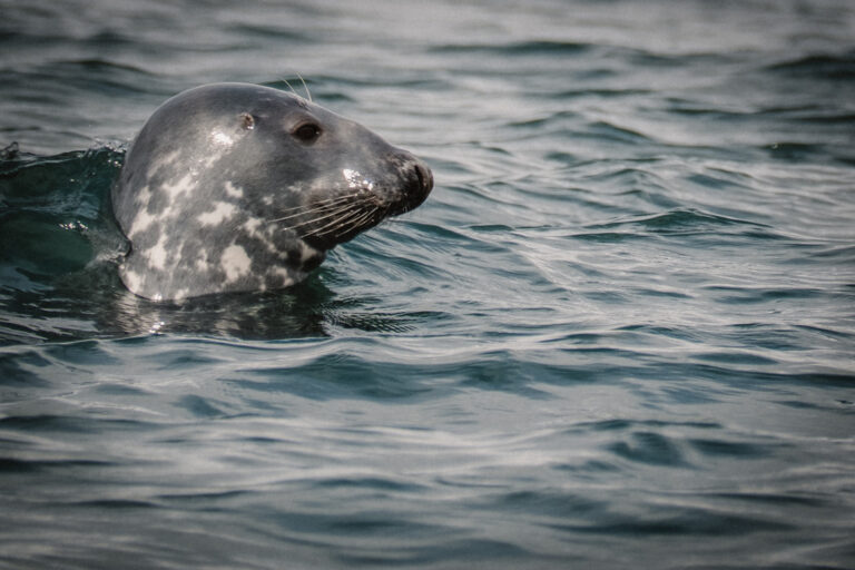 Abentuerreisen Island - Nord-Adventure
