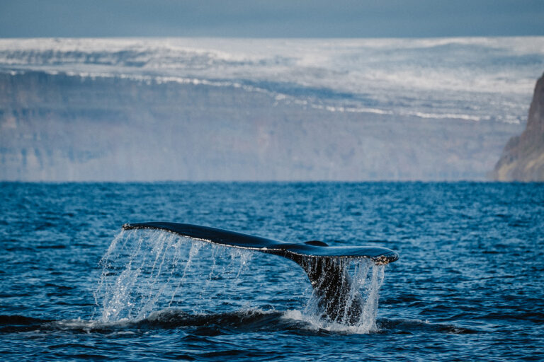 Nord-Adventure - Abentuerreisen Island