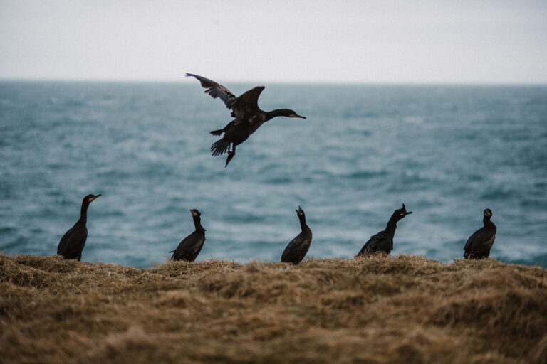 Abentuerreisen Island - Nord-Adventure
