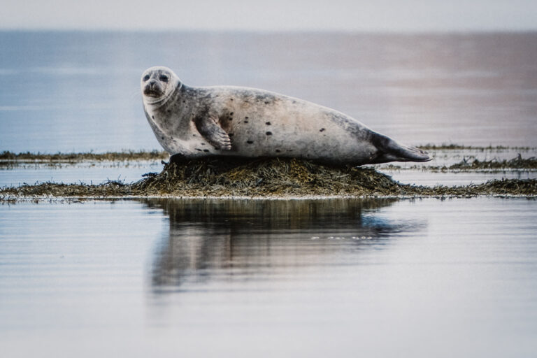 Abentuerreisen Island - Nord-Adventure